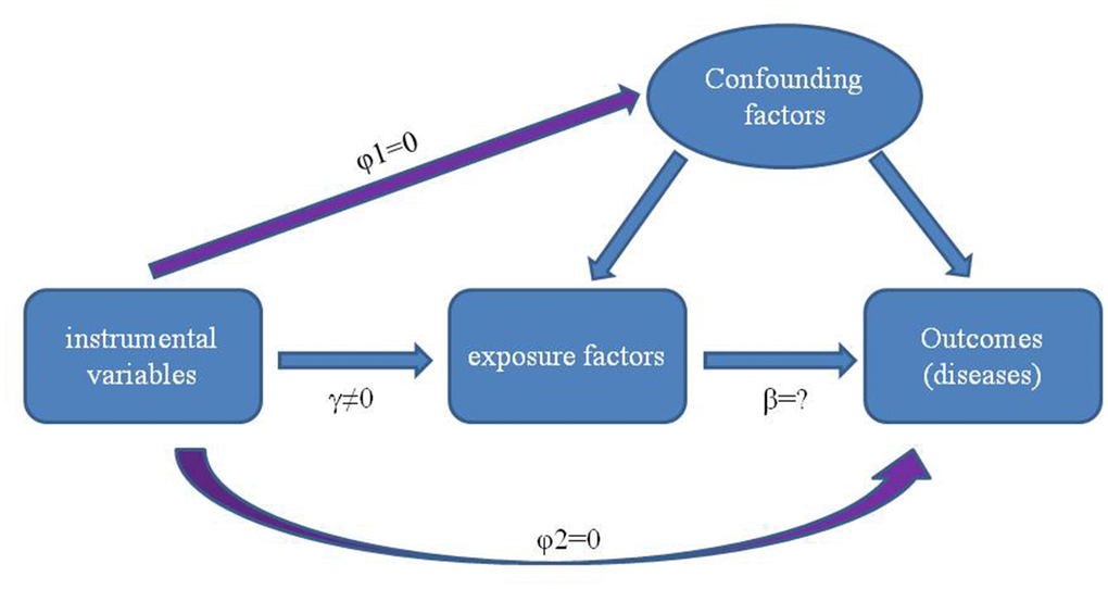 Principles of using genetic variants as instrumental variable to estimate the causal influence of exposure factors on disease. There is a strong correlation between genetic variation and exposure factors (γ≠0), and the genetic variation is independent of the confounding factors affecting the relationship between “exposure factors -outcomes” (φ1=0). Furthermore, genetic variation can only affect the outcomes through exposure factors but not other paths (φ2 = 0).