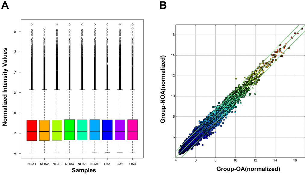 Box plot and scatter plot of circRNA signal value variation in OA and NOA samples. (A) The distribution of circRNAs for the nine samples. (OA: obstructive azoospermia; NOA: non-obstructive azoospermia). (B) Scatter plot showed variations in circRNA expression between OA and NOA samples. CircRNAs located above the top green line and below the bottom green line were more than 1.5-fold between OA and NOA samples.