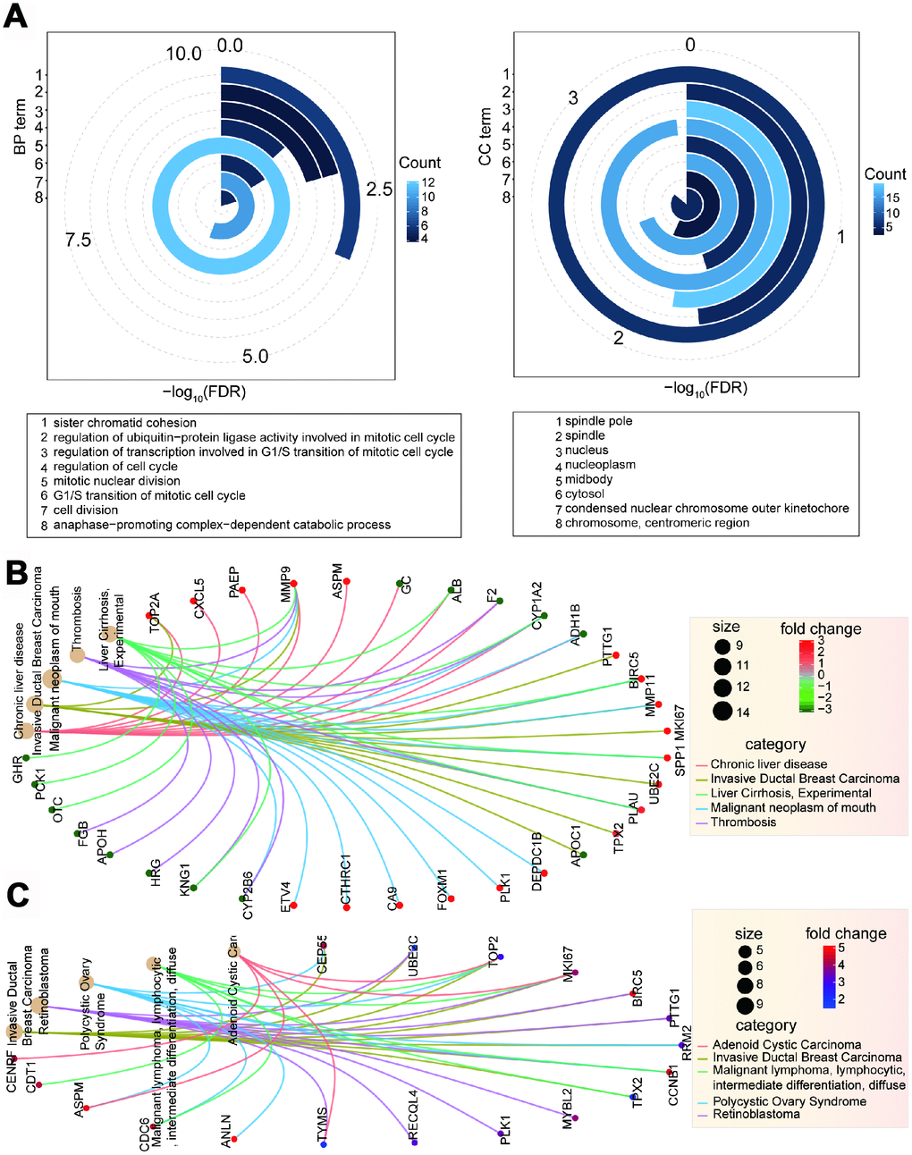 Function analysis of deregulated genes. (A) Enriched significant GO terms based on 26 candidate genes using David platform. (B) Enriched disease network of 94 deregulated genes.(C) Enriched disease network of screened 26 candidate genes.