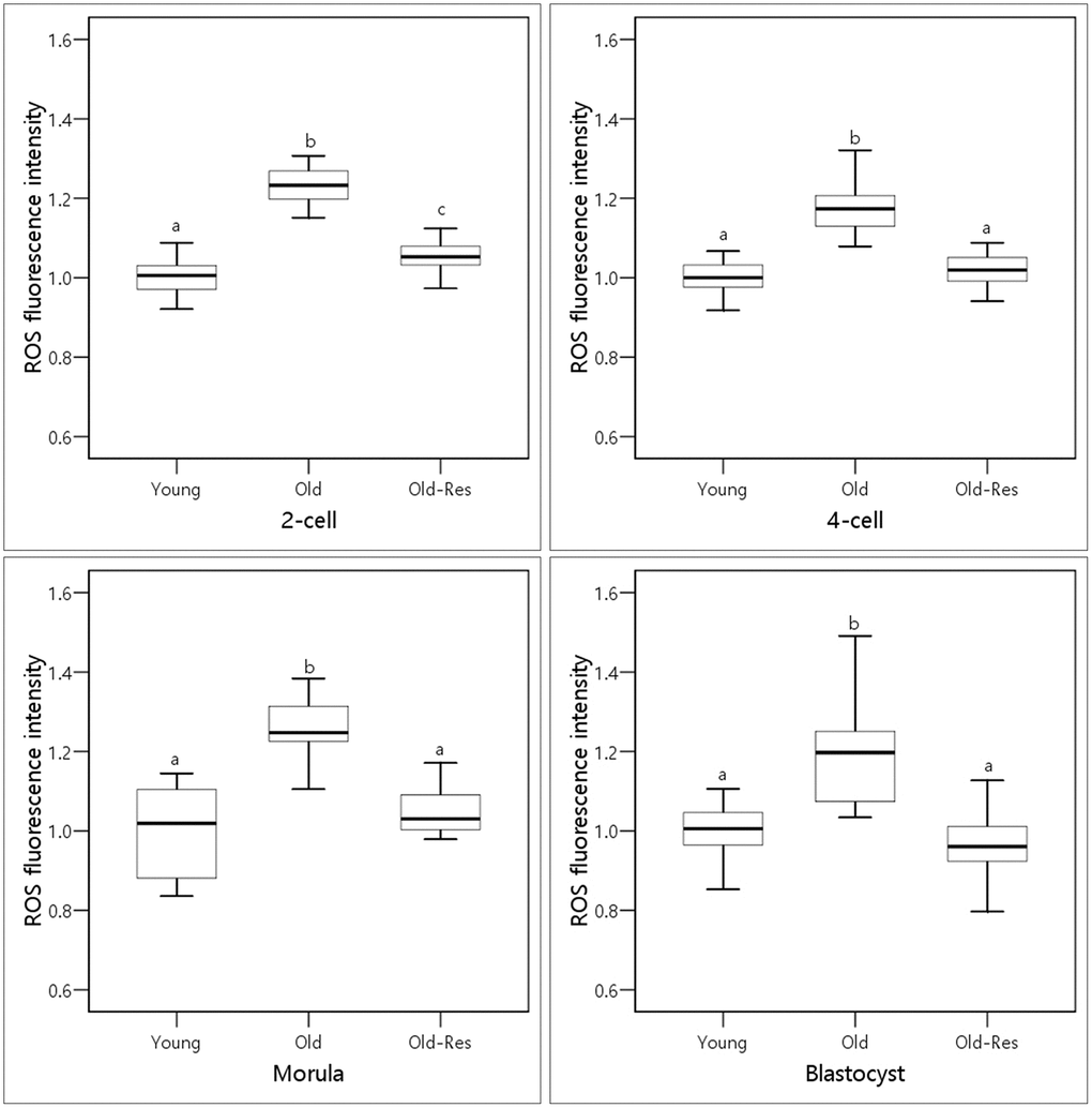 Boxplots representing the effect of resveratrol supplementation on ROS levels.a,b,cDifferent superscripts indicate significant differences within a stage (p  0.01).