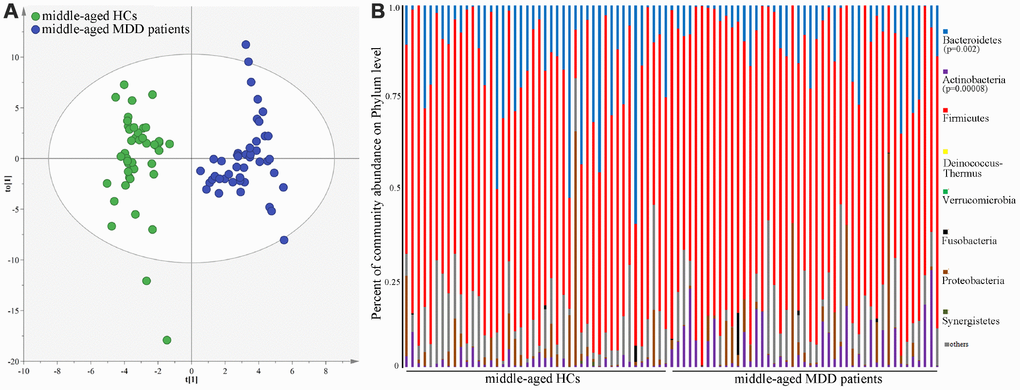 16S rRNA gene sequencing reveals changes to microbial abundances in middle-aged MDD patients. (A) OPLS-DA model showed an obvious difference in microbial abundances between the two groups (HCs, n=44; MDD, (n=45); (B) the relative abundances of Bacteroidetes and Actinobacteria were significantly changed in middle-aged MDD patients (n=45) as compared with middle-aged HCs (n=44).