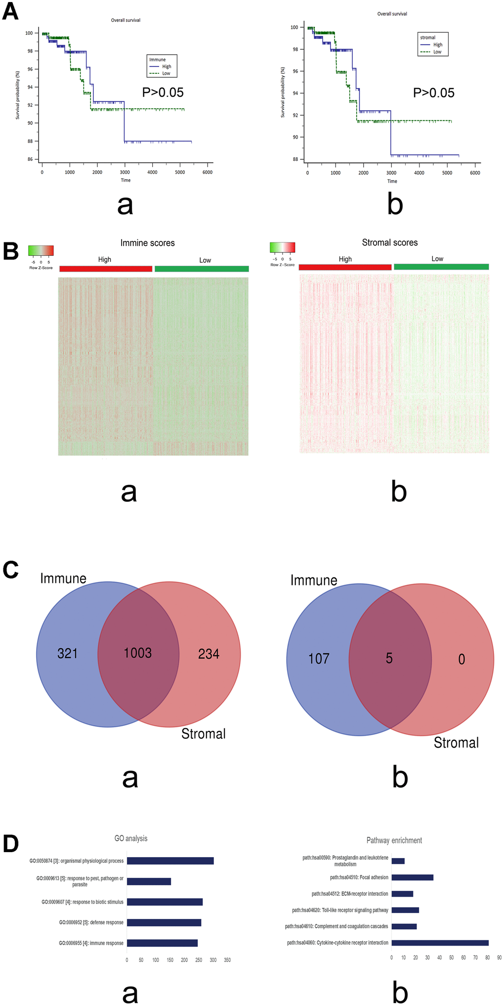 (A) Survival curves of the immune and stromal scores based on the TCGA cohorts of PTC. a) immune scores (P>0.05); b) stromal scores (P>0.05). (B) Heatmap of the DEGs of immune scores (a; high vs low) and stromal scores (b, high vs low). P2. Red stands for up-regulated genes, while green stands for down-regulated genes. (C) The intersections of the up-regulated (a) and down-regulated genes (b), respectively, from the immune and stromal gene sets. (D) The top 5 GO terms (a) and KEGG pathways (b) of the DEGs in the intersections.