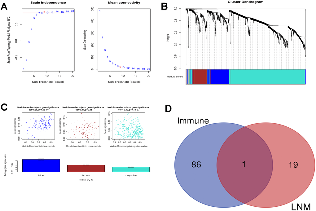 (A) Scale independence and mean connectivity analysis. (B) Gene clustering tree (dendrogram) obtained by hierarchical clustering of adjacency-based dissimilarity. (C) Module-trait relationship plot shows that the blue module has a close correlation with LNM. (D) Venn analysis generated CLDN10 as the key gene that correlates both with LNM and immune.