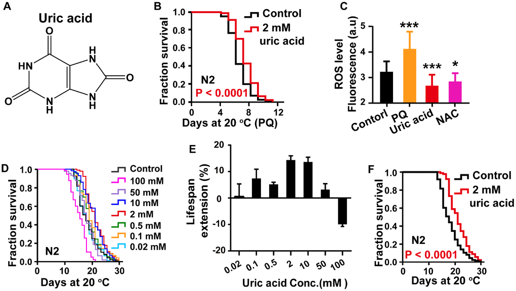 Uric acid extends the life span of C. elegans. (A) Chemical structure of uric acid. (B) Survival of animals treated with 2 mM uric acid on paraquat and the untreated controls. (C) Quantitation of intracellular levels of ROS in animals treated with 2 mM uric acid and those in untreated controls at day 1 adulthood. PQ is the abbreviation for paraquat, and NAC represents N-acetyl-cysteine. Data are the means ± SD, n ≥ 30, * P D) Survival analysis of wild-type N2 animals raised at increasing concentrations (0.02-100 mM). (E) Dose-response analysis of uric acid. The average life span changes from at least three independent experiments. (F) Survival curves of animals treated with 2 mM uric acid at 20 °C and those of untreated controls. Uric acid exposure was administered beginning on day 1 of adulthood. Life span was analyzed using the Kaplan-Meier test, and P values were calculated using the log-rank test. Data are representative of at least three independent experiments, and details on the life span values are summarized in Supplementary Table 1 in the Supporting Information.