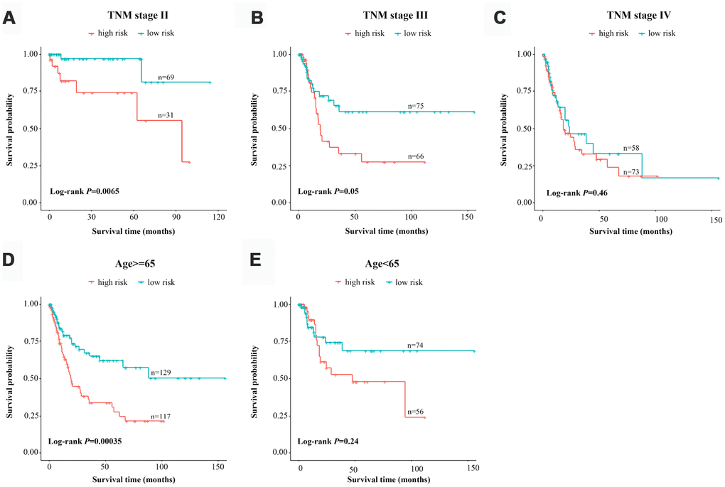 Risk-stratified analysis of the three-lncRNA signature for bladder cancer patients. Kaplan-Meier analysis of patients in the stage-II subgroup (A), stage-III subgroup (B), stage-IV subgroup (C), ≥65-year-old subgroup (D) and E). The tick-marks on the curve represent the censored subjects. The differences between the two risk groups were assessed with two-sided log-rank tests.