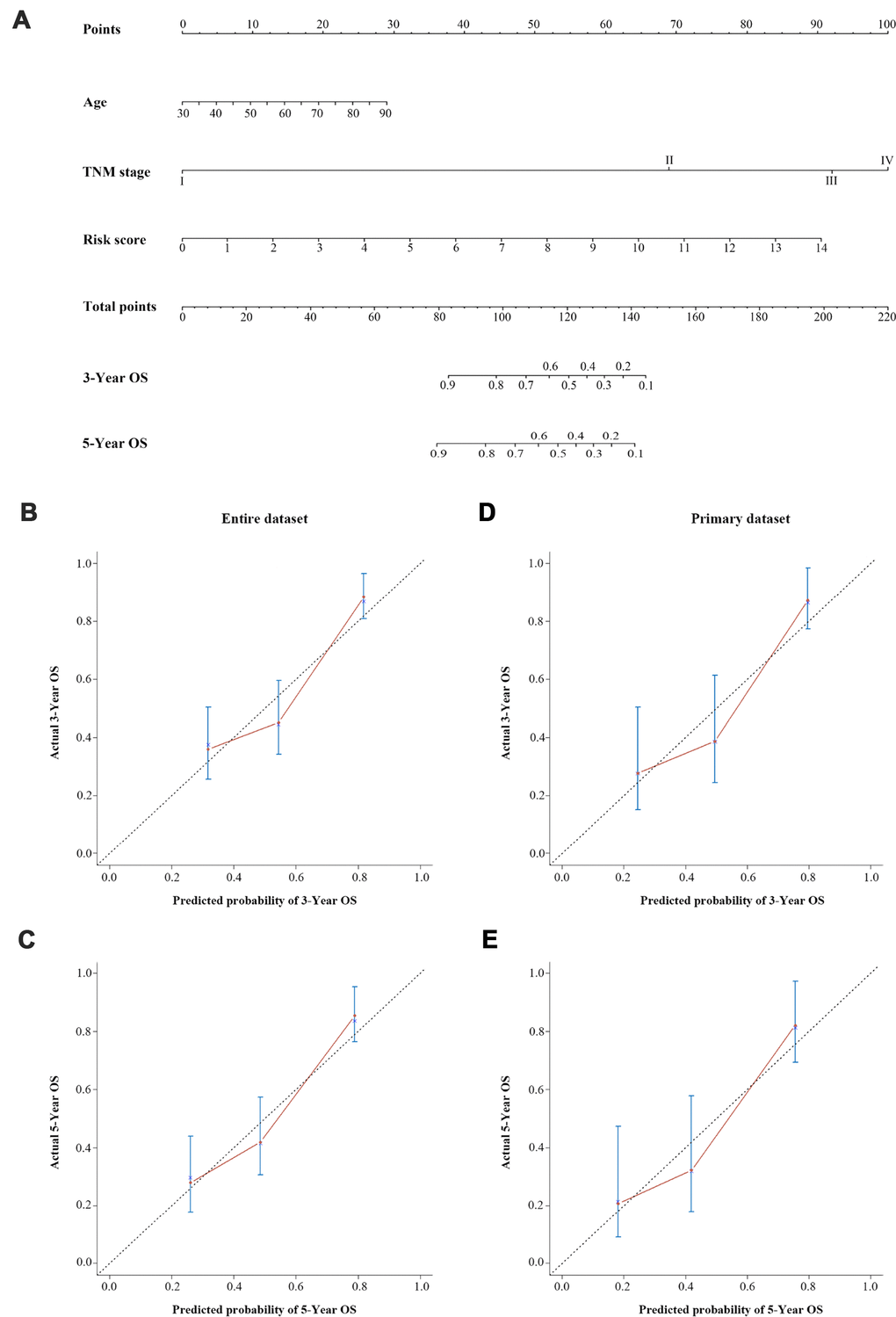 A three-lncRNA signature-based nomogram to predict three- and five-year OS in bladder cancer patients. (A) Nomogram for predicting OS. Instructions: Locate each characteristic on the corresponding variable axis, and draw a vertical line upwards to the points axis to determine the specific point value. Repeat this process. Tally up the total points value and locate it on the total points axis. Draw a vertical line down to the three- or five-year OS to obtain the survival probability for a specific bladder cancer patient. (B–E) Calibration plots of the nomogram for predicting OS at three years (B) and five years (C) in the entire dataset, and at three years (D) and five years (E) in the primary dataset. The 45-degree dotted line represents a perfect prediction, and the red lines represent the predictive performance of the nomogram.