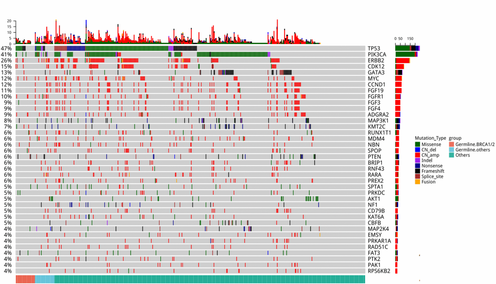Comprehensive somatic mutation spectrum of the 524 patients. Each column represents a patient and each row represents a gene. The number on the left represents the percentage of patients with mutations in a specific gene. The top plot represents the overall number of mutations detected in a patient. Different colors denote different types of mutation. The annotation at the bottom, with each color representing each group, depicts the germline mutations carried by the patients.