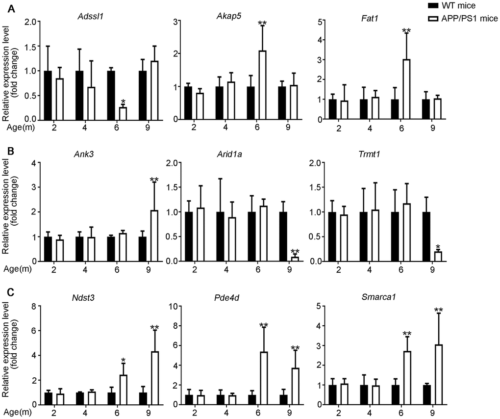 Validation of mRNA expression by using qPCR. (A) 6yes9no group, (B) 6no9yes group, and (C) 6yes9yes group. The mRNA expression was quantified relative to Gapdh expression level by using the comparative cycle threshold (ΔCT) method. Data are presented as means ± SD (n = 3, *p 
