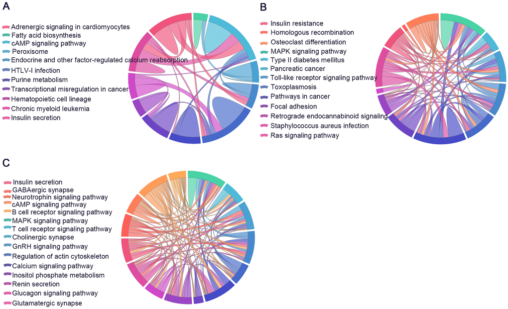 Significantly enriched Kyoto Encyclopedia of Genes and Genomes (KEGG) and Reactome pathways. The identified lncRNA-associated ceRNA-network genes participate in distinct aspects of AD pathology. (A) 6yes9no group, (B) 6no9yes group, and (C) 6yes9yes group. Significantly enriched KEGG pathways with p values of https://david.ncifcrf.gov/summary.jsp) database.
