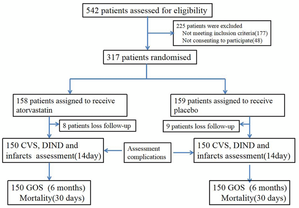 Trial profile. VS: cerebral vasospasm. DIND: delayed ischemic neurological deficit.