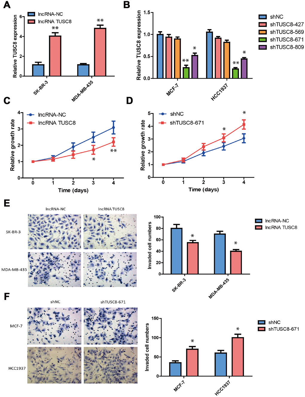 TUSC8 inhibits breast cancer cell growth, invasion and metastasis. (A) The good over-expression efficiency of TUSC8 in breast cancer cell lines SK-BR-3 and MDA-MB-435. (B) The good knock-down efficiency of TUSC8 in breast cancer cell lines MCF-7 and HCC1937 by using different shRNA subclones. (C) Over-expression of TUSC8 significantly suppressed breast cancer cell growth by cell proliferation assay. (D) Knock-down of TUSC8 drastically promoted breast cancer cell growth by cell proliferation assay. (E) Over-expression of TUSC8 reduced the cell invasive capacities in breast cancer cell lines SK-BR-3 and MDA-MB-435 by transwell invasion assay. (F) Knock-down of TUSC8 enhanced the cell invasive capacities in breast cancer cell lines MCF-7 and HCC1937 by transwell invasion assay. The asterisks (*, **) indicate a significant difference (p p 