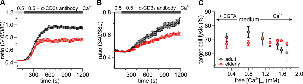 CD8+ T cells from elderly mice show reduced Ca2+ signals after T cell receptor stimulation and are less affected in their cytotoxic function by varying free external Ca2+ concentrations. Fura2-AM based Ca2+ Imaging with 2 μg/ml anti-CD3 antibody as stimulus applied in the presence of 0.5 mM [Ca2+]ext of (A) untouched (black: adult, n = 664 cells; red: elderly, n = 327 cells) and (B) stimulated (black: adult, n = 155 cells; red: elderly, n = 116 cells) CD8+ T cells from adult and elderly mice. (C) The cytotoxic function of CD8+ T cells from elderly mice is less affected by varying free [Ca2+]ext. Changes in end-point lysis with the addition of Ca2+ or the Ca2+ chelating agent EGTA to the medium of a cytotoxicity assay for CD8+ T cells of adult (grey, n = 3 - 5) and elderly (n = 2 - 3) mice. Data obtained are presented as mean ± SEM.