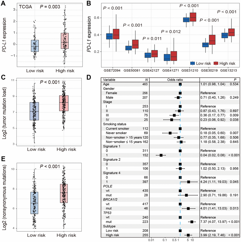 Distribution of PD-L1 expression and tumor mutation burden and their associations with the high-/low-risk subtypes of LUAD. (A, B) Difference in the PD-L1 expression in TCGA and validation cohorts stratified by high-/low-risk subtypes of LUAD. (C–E) Distribution and association of mutation burden in the high-risk group versus low-risk group.