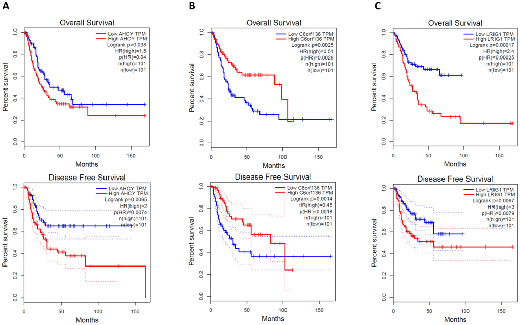 Overall survival and disease free survival analysis of AHCY (A), C6orf136 (B) and LRIG1 (C) with bladder cancer data from TCGA.