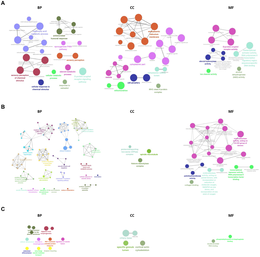 GO analysis of differentially expressed mRNAs, lncRNAs, and circRNAs. GO and pathway terms were connected and grouped based on their functional similarity, which is calculated using kappa statistics in ClueGO. Terms in the same group are specified by identical colors, and their size is proportional to their statistical significance. The most significant term in each group is highlighted by a colorful and bigger font.