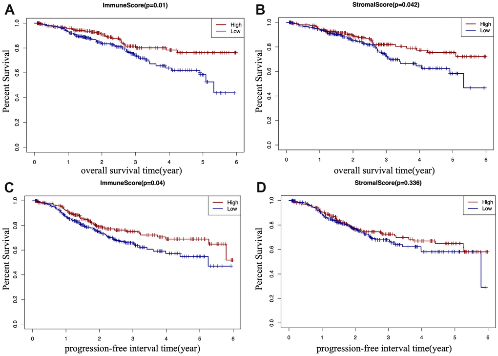 Kaplan-Meier (KM) survival curve of EC patients based on their immune/stromal scores. Patients were classified into high immune/stromal scores groups and low immune/stromal scores groups. (A) The KM curve of overall survival (OS) time of high and low immune score group. (B) The KM curve of OS time of high and low stromal score group. (C) The KM curve of progression-free interval (PFI) time according to immune scores. (D) The KM curve of progression-free interval (PFI) time according to stromal scores.