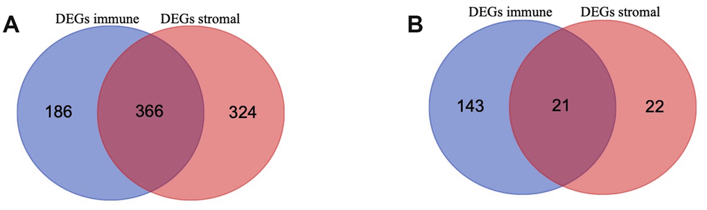 Differentially Expressed Genes (DEGs) selected (A, B) Venn diagram of differentially expressed genes (DEGs) base on immune and stromal score. (A) shows the commonly upregulated DEGs and (B) shows the commonly downregulated DEGs.