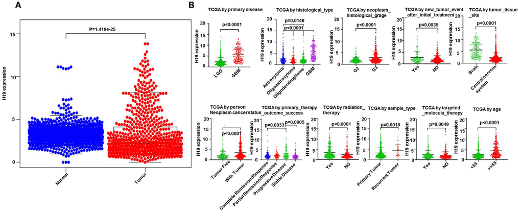 Clinical correlation analysis between H19 and glioma patients. (A) The expression level of H19 in glioma as analyzed via Limma and beeswarm package. (B) correlation analysis between H19 differential expression and clinical features according to TCGA.