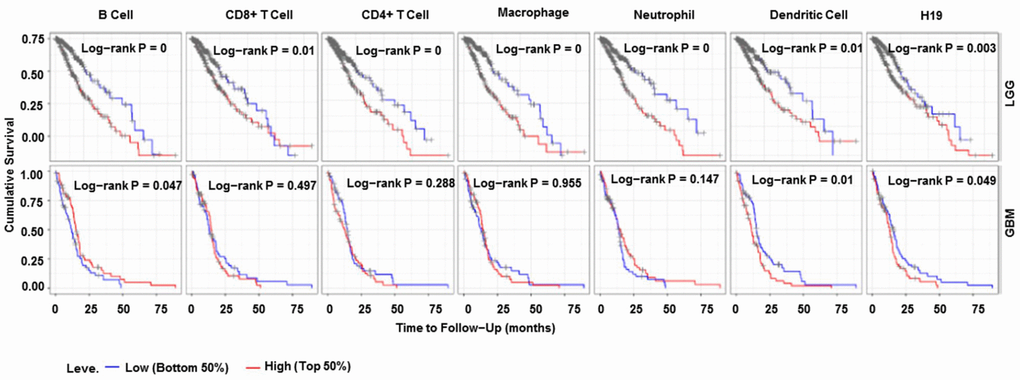 Immune cell infiltration survival curve. They are K-M survival curves based on top and bottom sample partitions with 50% and 50% immune penetration, respectively. Red means high degree of infiltration and blue means low degree of infiltration. PP 