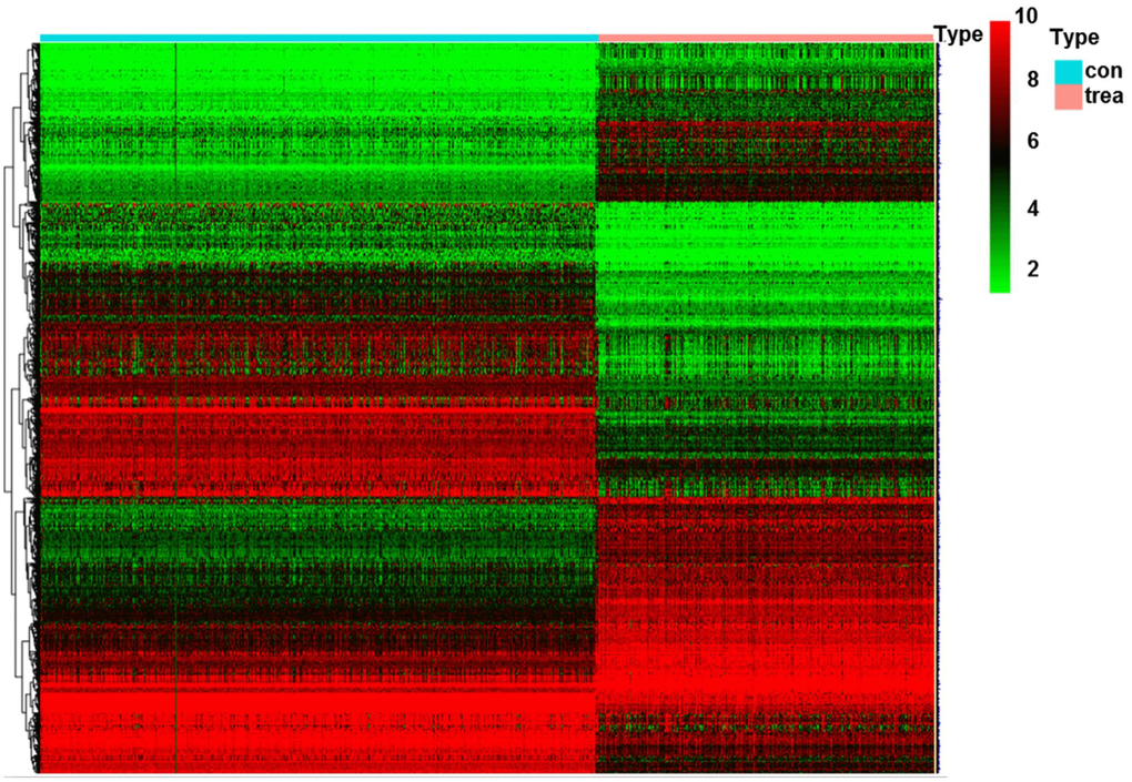 Heatmap of DEGs in glioma. Abbreviation: DEGs, differentially expressed genes; con, control; trea, treatment.