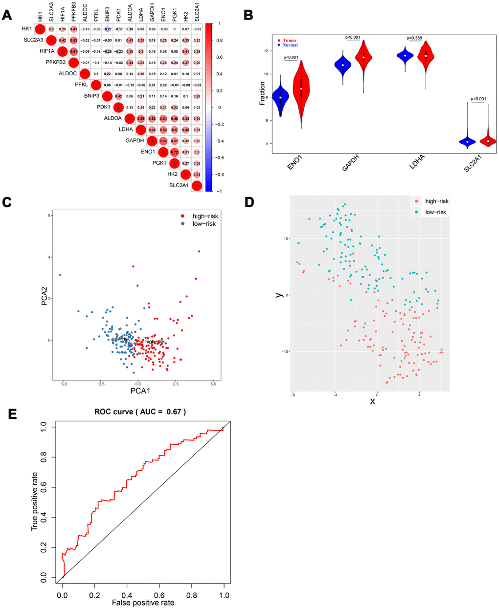 Validation of HIF-1 related genes and reliability of risk score in the validation cohort. There were significant correlations between HIF-1 related genes (A). Among the four selected genes in the derivation cohort, ENO1, GAPDH, and SLC2A1 were upregulated in HCC (B). PCA and t-SNE analysis confirmed the clustering ability of the four-gene panel in the validation cohort (C, D). Time-dependent ROC analysis showed the diagnostic value of risk score for overall survival at 5 years after diagnosis (E).