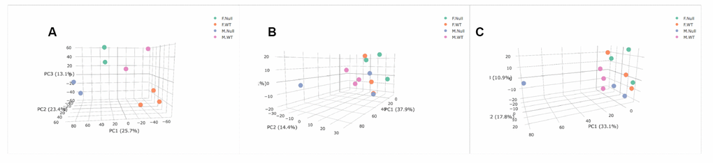 Principal Components Analysis of transcriptome (A), positive metabolome (B), and negative metabolome (C). Female GHRH-KO- green. Female WT- orange. Male GHRH-KO- blue. Male WT- purple. PC3 and PC2 are associated with sex (P=0.0034) and genotype (P=0.0004) respectively in the transcriptome. PC2 was associated with sex in the positive metabolome (P=0.042), and PC3 was associated with sex in the negative metabolome (P=0.017). Genotype was not significantly associated with any of the PCs shown for either metabolomic dataset.