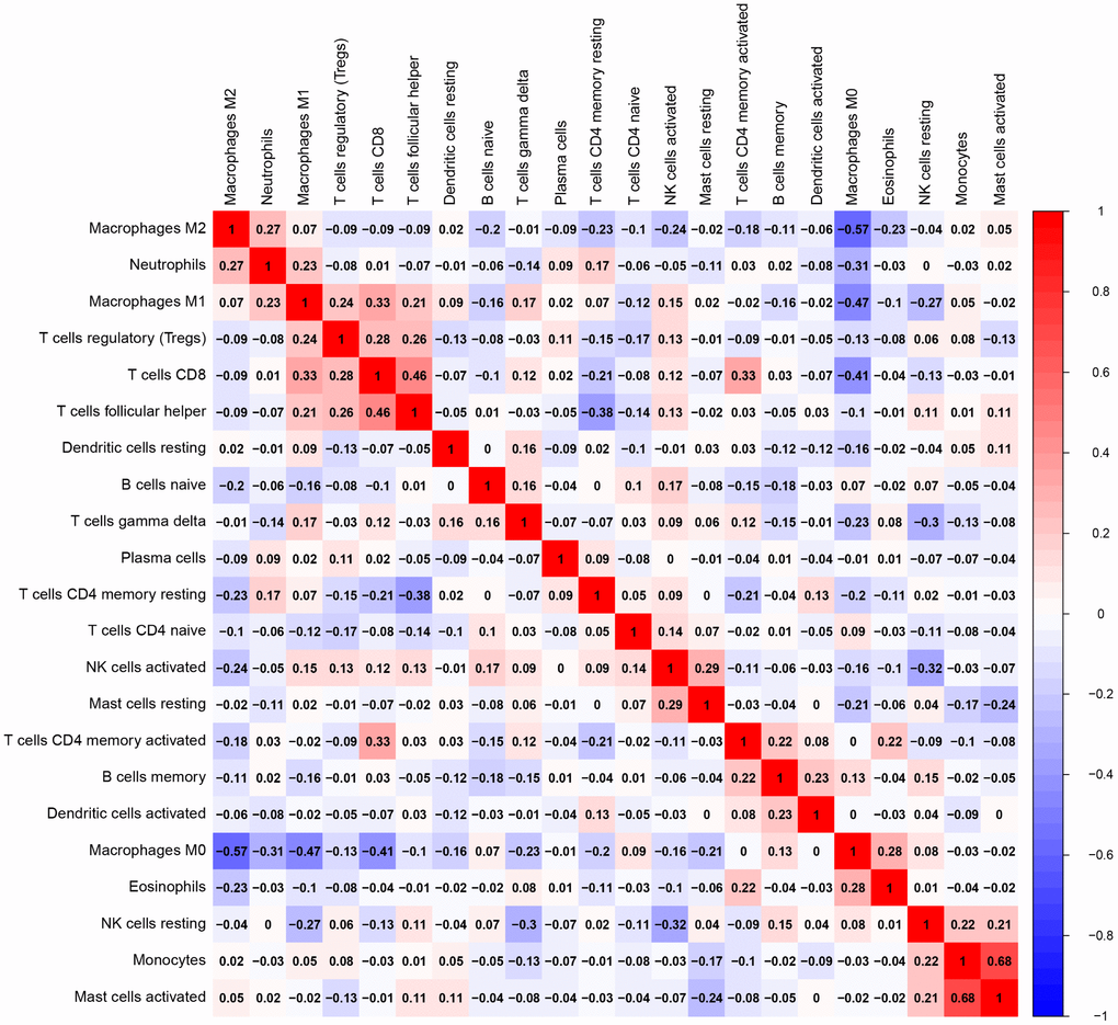 Correlation matrix of all 22 TIICs proportions. Horizontal and vertical axes both represent TIICs. TIICs with higher, lower, and same correlation levels are shown in red, blue, and white, respectively. TIIC, tumor-infiltrating immune cell.