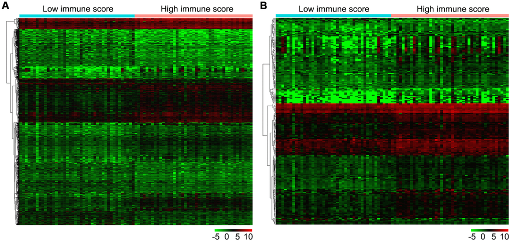 Gene expression profiles in high and low immune score OS samples. (A) Heat map of DEGs based on immune score in OS samples. (B) Heat map of immune-related DEGs based on immune score in OS samples. Horizontal and vertical axes represent OS samples and genes, respectively. Genes with higher, lower, and same expression levels are shown in red, green, and black, respectively. Color bars on top of the heat map represent sample types, with blue and pink indicating low and high immune score samples, respectively. DEGs, differentially expressed genes; OS, osteosarcoma.