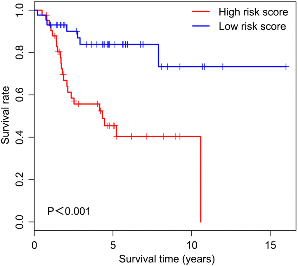 Overall survival curves obtained by the Kaplan-Meier method indicate that the risk score is significantly associated with OS prognosis. Horizontal and vertical axes represent survival times and rates, respectively. Red and blue curves are samples with risk score higher and lower than the median value, respectively. Plus signs indicate censored values. Depicted P-values were obtained by the logrank test. OS, osteosarcoma.