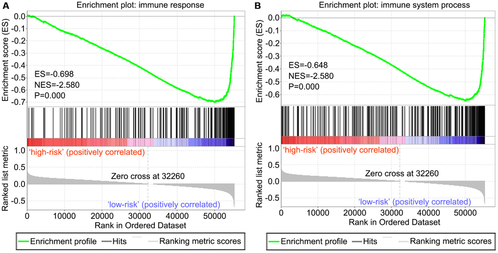 GSEA of the risk score in OS. Both immune response and immune system process gene sets were enriched in the low-risk group. The horizontal axis represents genes of the immune response (A) and immune system process (B) gene sets, ranked by decreasing risk score. The vertical axis represents enrichment score. The enrichment score increased with the number of enriched genes and vice versa. ES, enrichment score; NES, normalized enrichment score.