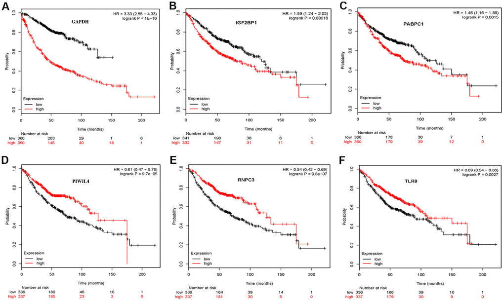 Validation the prognostic value of hub RBPs in LUAD by Kaplan Meier-plotter.