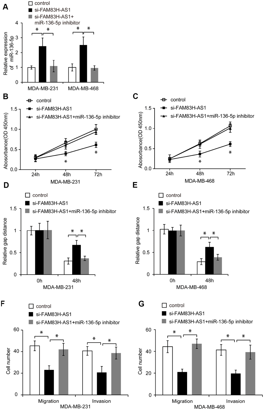 FAM83H-AS1 promotes TNBC cell proliferation, migration, and invasion through inhibiting miR-136-5p. (A) Relative miR-136-5p expression in TNBC cells transfected with control, si- FAM83H-AS1, and si-FAM83H-AS1+miR-136-5p inhibitor evaluated by qRT-PCR. (B, C) Proliferation of TNBC cells transfected with control, si-FAM83H-AS1, and si-FAM83H-AS1+miR-136-5p inhibitor, analyzed by CCK8 assay. (D, E) Wound healing assay of the migration of MDA-MB-231 and MDA-MB-468 cells transfected with control, si-FAM83H-AS1, and si-FAM83H-AS1+miR-136-5p inhibitor. (F, G) Migration and invasion of TNBC cells transfected with control, si-FAM83H-AS1, and si-FAM83H-AS1+miR-136-5p inhibitor, assessed by transwell assays. * p 