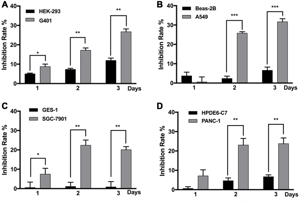 MF exposure selectively inhibited the growth of various cancer cell lines. G401 and HEK293 (A) A549 and BEAS-2B (B) SGC-7901 and GES-1 (C) PANC-1 and HPDE6-C7 (D) cells were subjected to MF exposure protocol illustrated in Supplementary Table 1, or sham exposure, 2 h daily for 3 consecutive days. Inhibition rate on each day was calculated based on cell viability assays. Results are expressed as mean ± SD (n=5). *: P