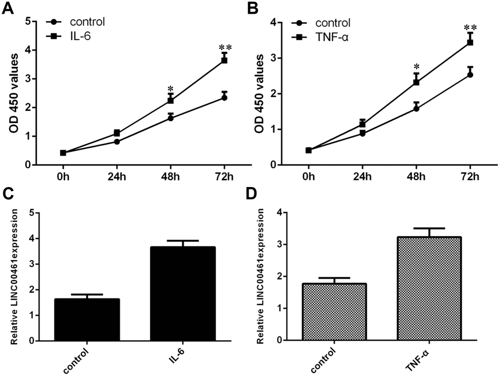 TNF-α and IL-6 induced the expression of LINC00461 in chondrocytes. (A) Cell proliferation was determined by CCK-8 analysis. (B) TNF-α promoted chondrocyte growth, as demonstrated by CCK-8 analysis. (C) IL-6 enhanced the expression of LINC00461 in chondrocytes, as shown by qRT-PCR. GAPDH was used as the internal control. (D) TNF-α induced LINC00461 expression in chondrocytes. *p