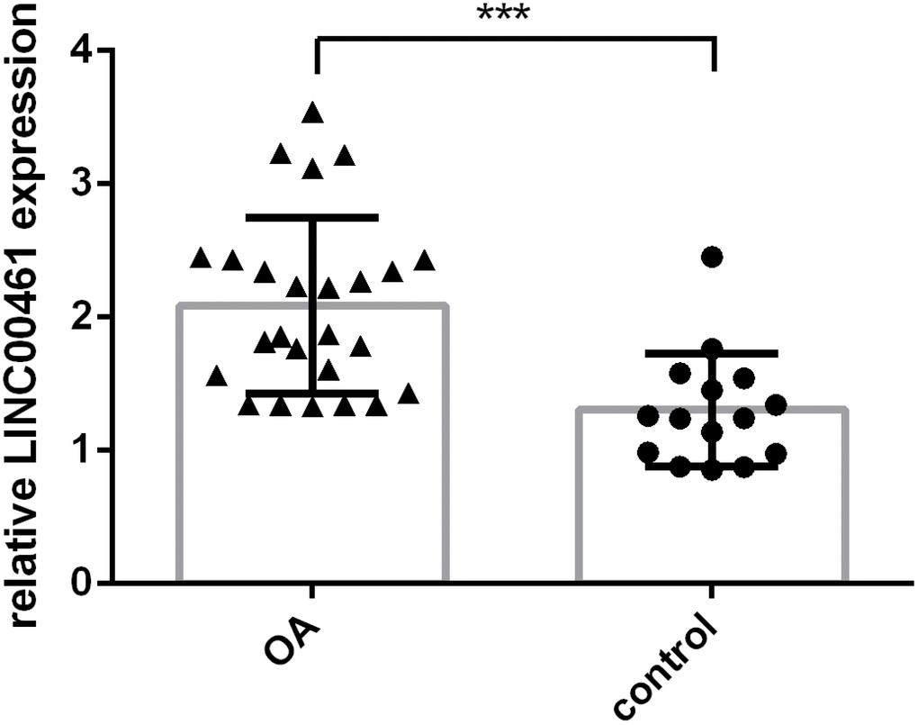 The expression of LINC00461 was upregulated in OA tissues. LINC00461 expression was detected in OA cases and normal control patients. ***p