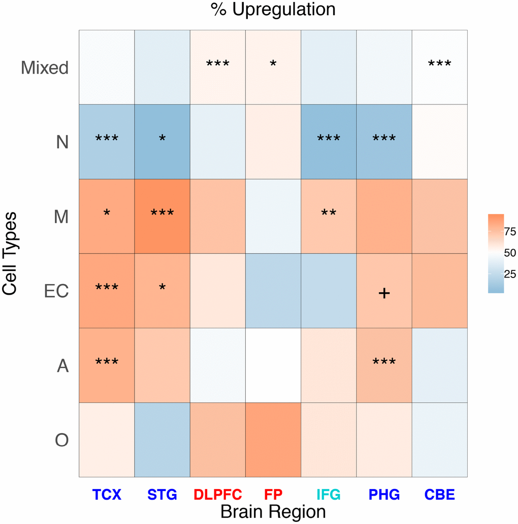 Heatmap representing the proportion of up-regulated AD genes for cell type and brain region in cell-specific and “mixed” genes. The stars represent a significant enrichment of a particular gene type among DEGs.