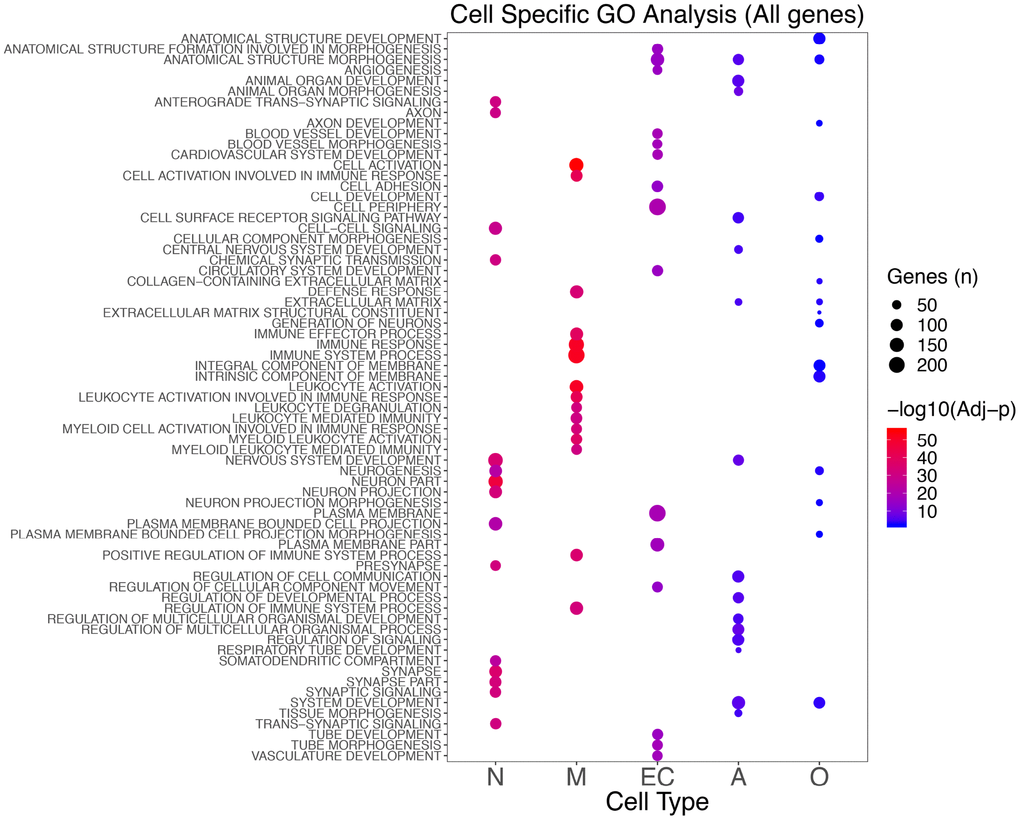 Top 15 significant GO classes identified in the different cell types combining the results for the seven brain regions analyzed. The color scale indicates the significance (blue to red as the significance increases), whereas the size shows the number of genes in that specific enriched class in AD.