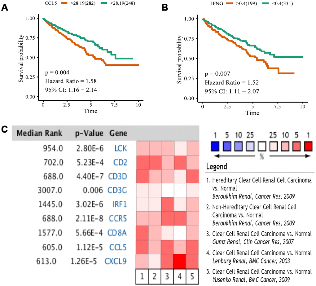 Kaplan-Meier analysis and Oncomine meta-analysis. (A) The overall survival analysis of CCL5. (B) The overall survival analysis of IFNG. (C) A meta-analysis of gene expression from Oncomine datasets. Colored squares represent the median of genes (relative to normal tissue) in five analyses. Red represents overexpression, blue represents low expression. This P value gives the average rank analysis.