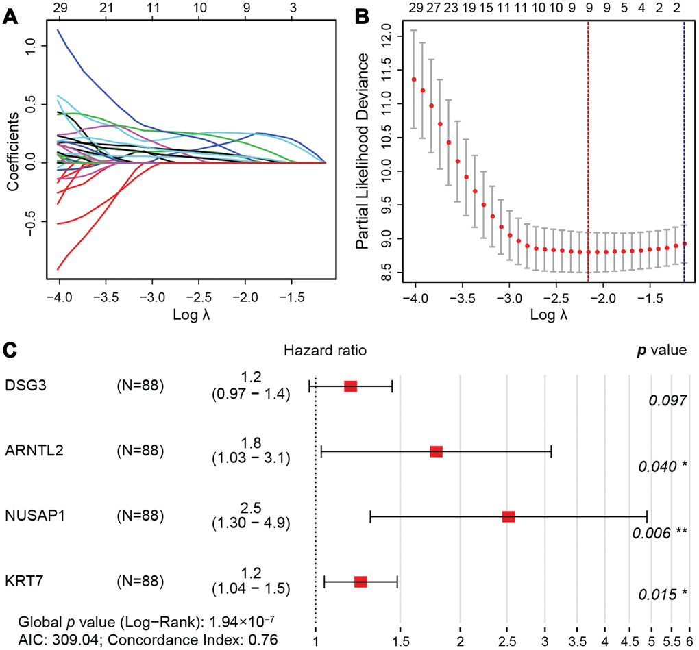 LASSO regression model. (A) LASSO coefficient profiles of the 76 prognostic DEGs. Each curve represents a coefficient, and the x-axis represents the regularization penalty parameter. As λ changes, a coefficient that becomes non-zero enters the LASSO regression model. (B) Cross-validation to select the optimal tuning parameter (λ). The red dotted vertical line crosses over the optimal log λ, which corresponds to the minimum value for multivariate Cox modeling. The two dotted lines represent one standard deviation from the minimum value. (C) HRs and 95% CIs of the four genes based on multivariate Cox regression analysis of the training cohort from TCGA.