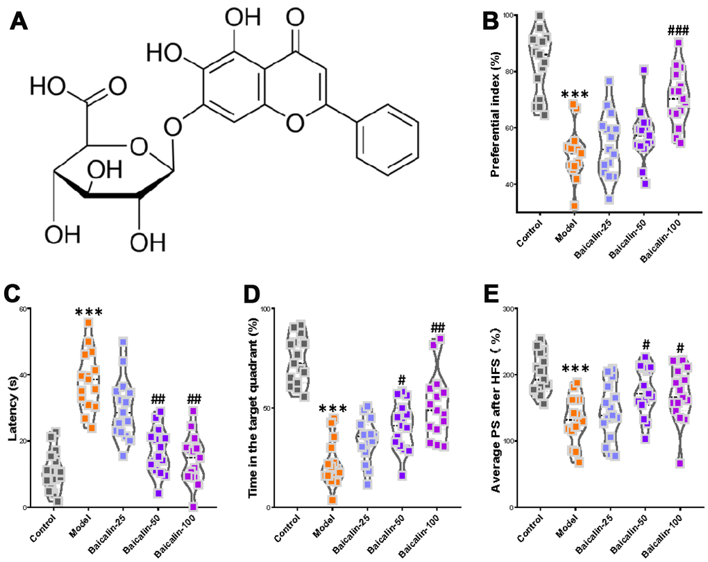 Oral baicalin supplementation suppresses decline in cognition, memory, and LTP in repeated cerebral ischemia-reperfusion model mice. (A) The chemical structure of baicalin. (B–D) The preferential index of the (B) novel object recognition test after 1h training, (C) latency in the testing phase, and (D) time spent in the target quadrant of Morris water maze test of control, repeated cerebral ischemia-reperfusion (model group), and 50 mg/kg and 100 mg/kg baicalin-treated model group mice is shown. (E) The average population spike amplitudes from all control, model mice, and 50 mg/kg and 100 mg/kg baicalin-treated model group mice is shown. Note: *** denotes Pt-tests; # denotes P## denotes P### denotes P