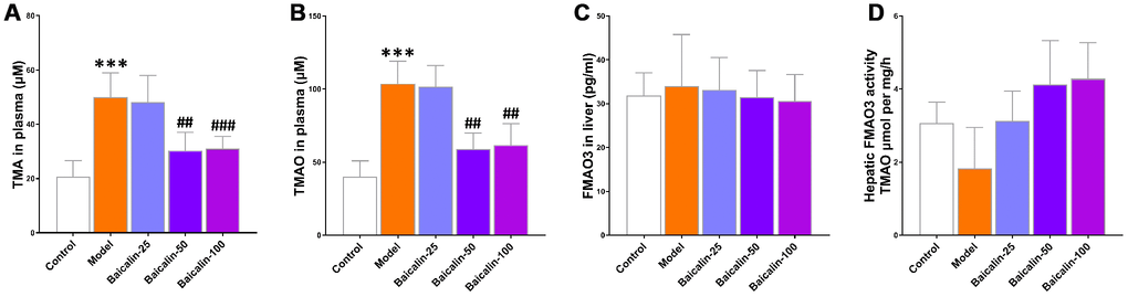 Baicalin suppresses TMAO synthesis in repeated cerebral ischemia-reperfusion model mice. The plasma levels of (A) TMA and (B) TMAO in control, model, and baicalin-treated model group mice are shown. (C) The hepatic FMO3 expression and (D) hepatic flavin-containing monoxygeneases (FMO) activity in the control, model, and baicalin-treated model group mice are also shown. Note: *** denotes Pt-tests; ## denotes P### denotes P