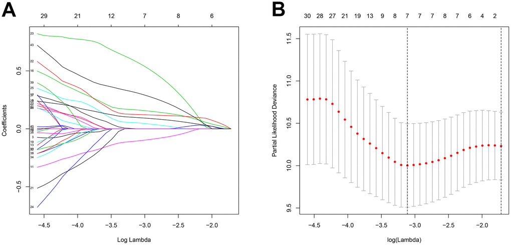 Feature selection using the Lasso regression model. (A) Lasso regression analysis coefficients. (B) Selection of tuning parameters in the Lasso regression analysis based on 1,000 cross-validations.