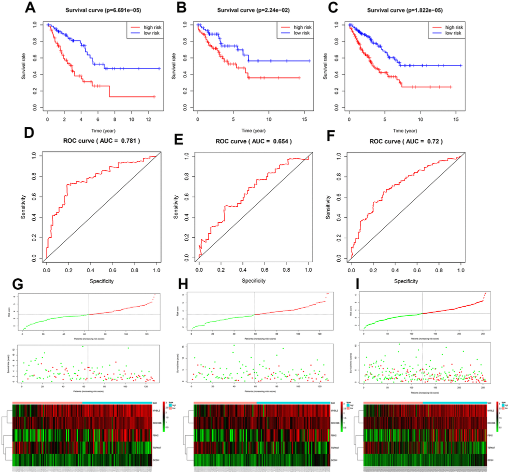 Assessment of the prognostic model. Survival analyses for the training (A), test (B), and overall (C) datasets. Receiver operating curves (ROC) of the prognostic model in the training (D), test (E), and overall (F) datasets. Differences in risk score, survival time, and gene expression between the high- and low-risk groups in the training (G), test (H), and overall (I) datasets.