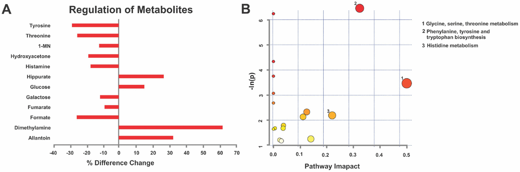 MPS defines cellular homeodynamics as reflected by deep learning metabolomics analysis. (A) Given their disease vulnerability, males revealed a characteristic metabolic signature in urine 1H-NMR spectra based on VIAVC testing. Individual metabolite changes are indicated; bars indicate % change from CONTROLS. (B) Pathway topology analysis showing all matched pathways according to p-values and pathway impact values in young males. This figure was created using the lists of metabolites identified in A. n=7 CONTROL and n=6 MPS rats; 1-MN 1-methylnicotinamide.