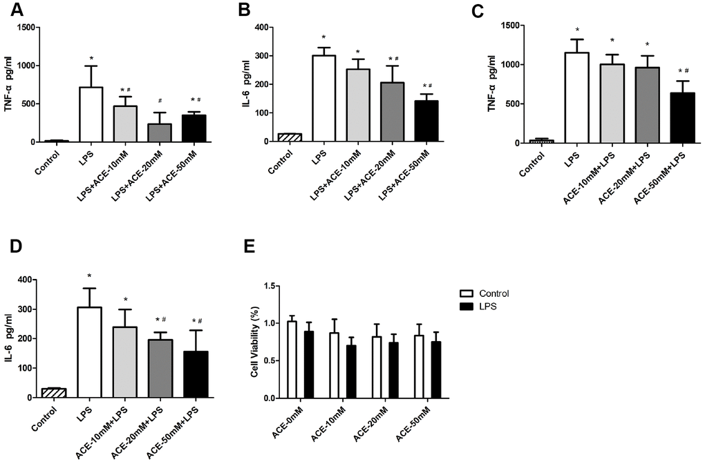 The anti-inflammatory effects of acetate in BV2 cells (n=3 independent experiments). During the acetate post-treatment, different concentrations of acetate (10, 20 or 50 mM) were added to the wells 30 min after LPS (100 ng/mL) stimulation. Inflammatory proteins were detected by ELISA 6 h after LPS stimulation. Bar graphs display the protein levels of TNF-α (A) and IL-6 (B). During the acetate pretreatment, acetate was added to the wells 30 min before LPS (100 ng/mL) stimulation, and inflammatory proteins were detected by ELISA as previously mentioned. Bar graphs display the protein levels of TNF-α (C) and IL-6 (D). (E) The MTT experiment revealed no significant differences in cell viability among the groups. Data are expressed as the mean±SEM, *P