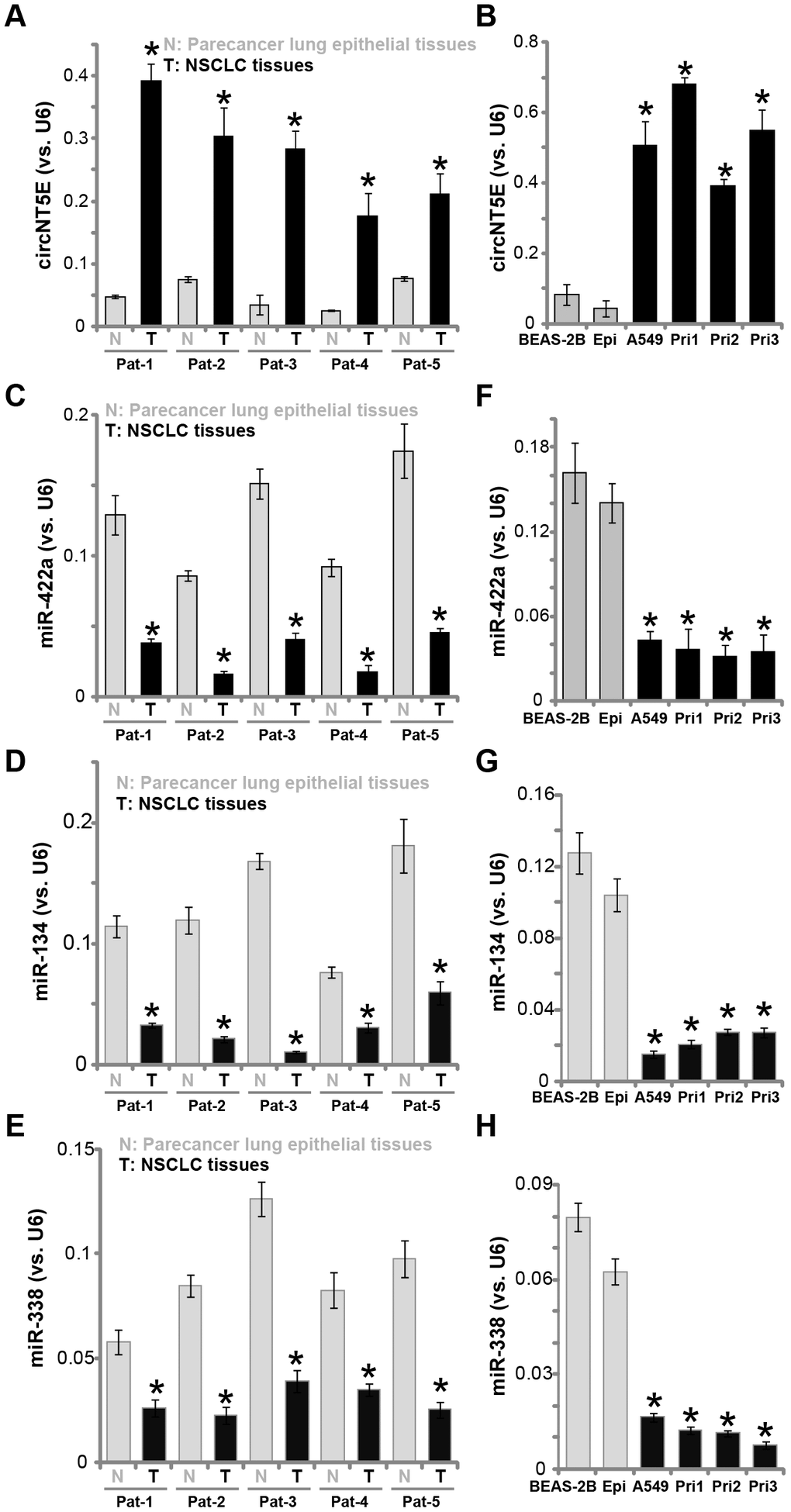 circNT5E is upregulated in human NSCLC tissues and cells. Total RNA was extracted from the described human tissues and cells, expression of circNT5E (A and B), miR-422a, miR-134 and miR-338 (C–H) was tested by qPCR, with results normalized to U6 RNA. “Pat” stands for NSCLC patient number. Each tumor or epithelial tissue was randomly cut into five pieces, with expression of listed genes tested. Error bars stand for mean ± standard deviation (SD, n=5). * P 