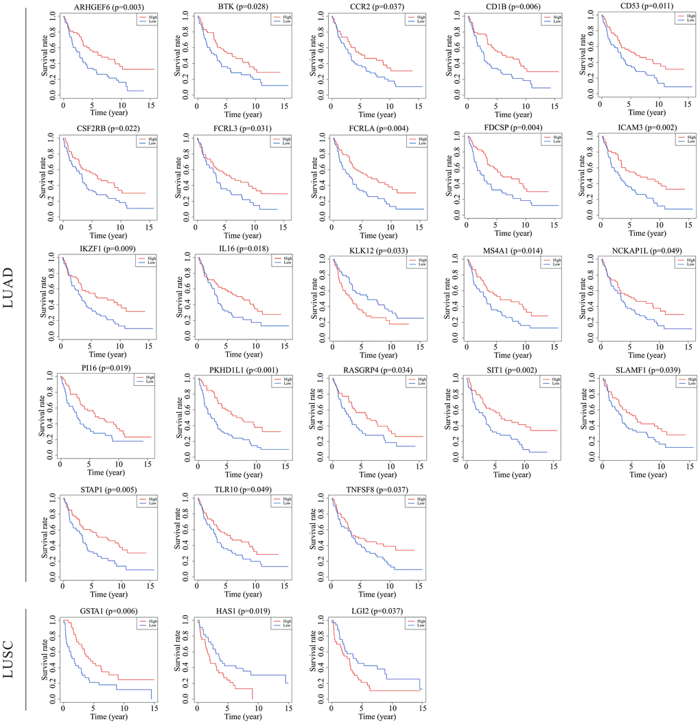 Validation of TCGA results with other cohorts from the GEO database. Kaplan-Meier survival curves were generated using the data of GEO database to determine the prognosis-related DEGs in TCGA. The Horizontal axis: overall survival time, days; Vertical axis: survival rate. P 