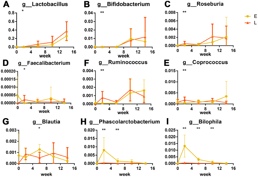 Significant differences in bacteria in different groups after transplantation (%): Probiotics were significantly greater in abundance in the L group than in E group. (A) Lactobacillus, (B) Bifidobacterium. Short chain fatty acid producers were greater in abundance in the L group than in E group are shown as box plots: (C) Roseburia, (D) Faecalibacterium, (E) Ruminococcus, (F) Coprococcus. (G) Phascolarctobacterium and (H) Blautia were more abundant in the E group. The opportunistic pathogen significant higher in E group: Bilophila wadsworthia (I) *p0.05, **p0.01 by LEfSe analysis.