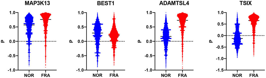 Violin plots showing the R values between each of TSIX, BEST1, ADAMTSL4 and MAP3K13 in the NOR and the FRA groups.