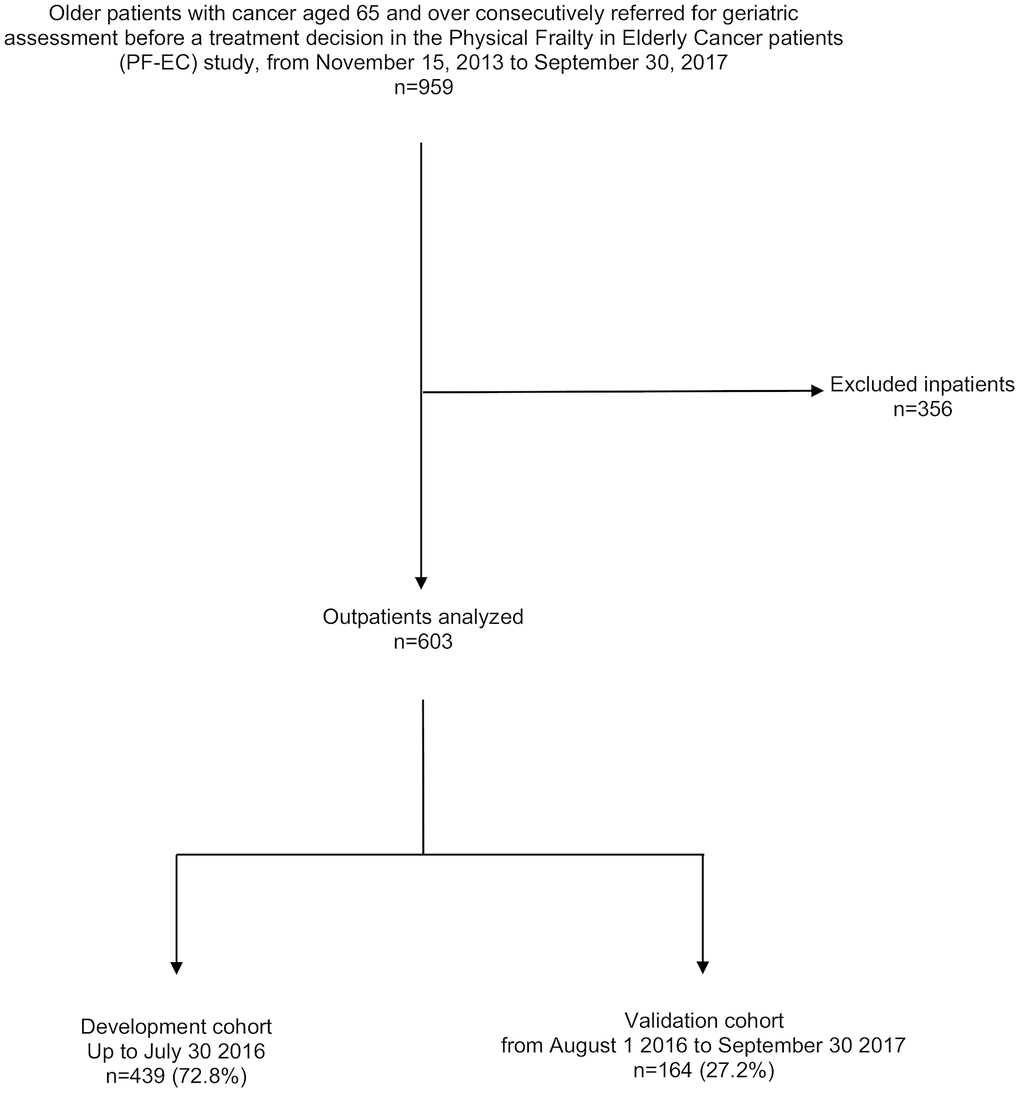 Consort diagram for the patient selection.